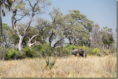 IMG_2613 IMG_2613