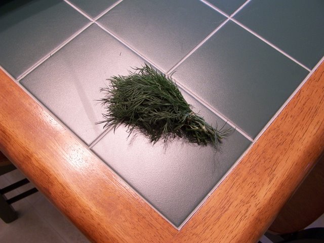 Fresh Dill