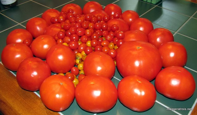Tomatoes