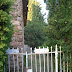 Sant Martí de Montnegre