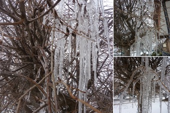View Icicles