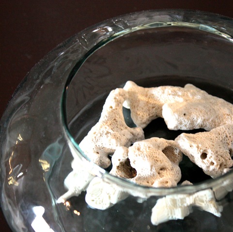 [IMG_70696.jpg]