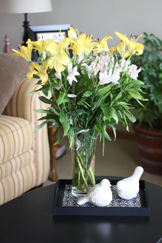 [IMG_82954.jpg]