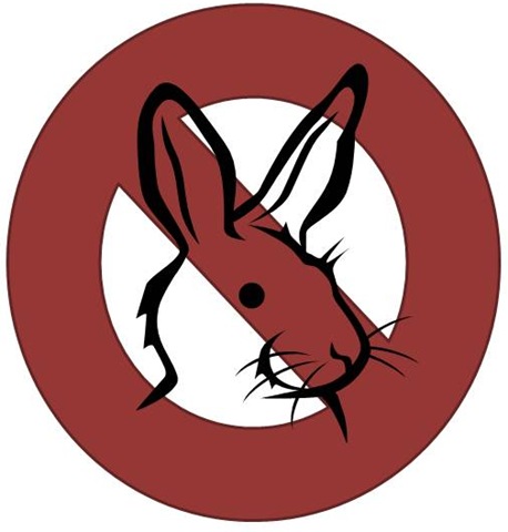 [bad bunny[7].jpg]