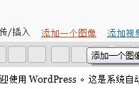 worpress后台编辑器问题