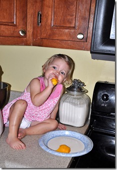 peach ice cream 072710 (2)