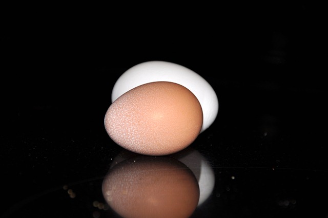 [it's an egg! 080210  (14)[2].jpg]