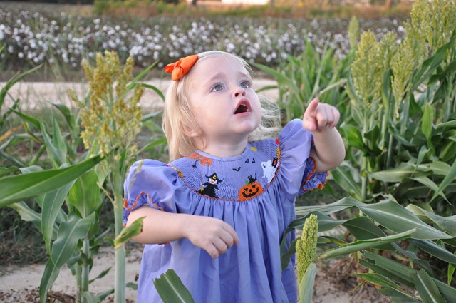 [grain saugrum and halloween dress 101510 (6)[5].jpg]