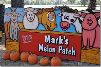 marks melons 102210 (108)