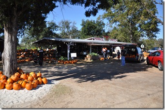 marks melons 102210 (102)