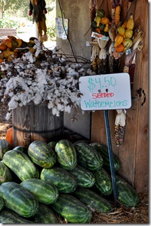 marks melons 102210 (190)