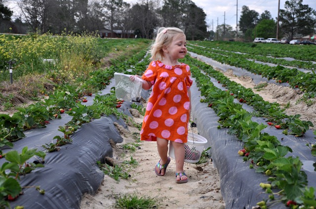 [strawberry love 032611 (12)[3].jpg]
