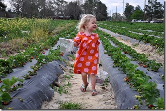 strawberry love 032611 (12)