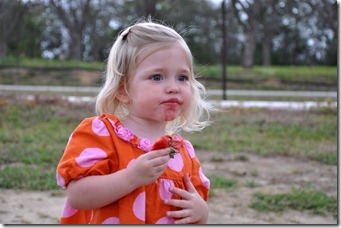 strawberry love 032611 (22)