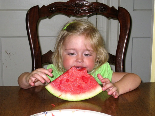 [first watermelon of the year (fl) and redefining seedless 050811 (4)[3].jpg]