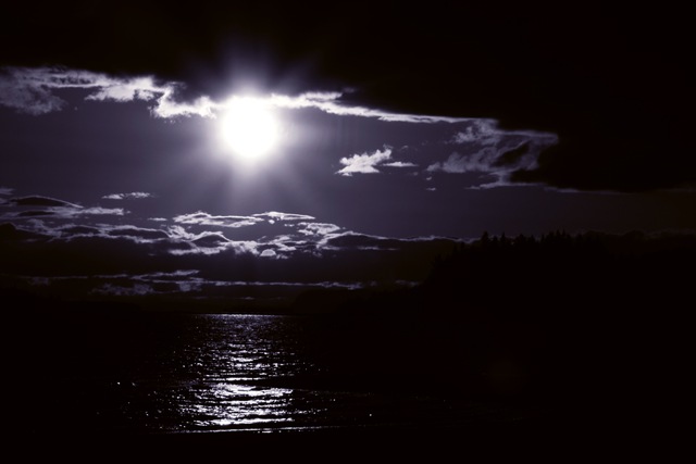 [a night so calm 2[4].jpg]
