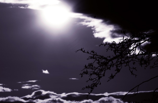 a calm night