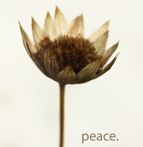 [peace[9].jpg]
