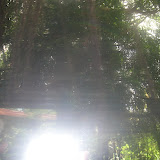  &ndash; Ocho Rios, Jamaica
