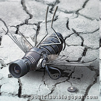 Amazing photo Manipulation Photoshop tutorials till December 2009 Amazing photo Manipulation Photoshop tutorials till December 2009