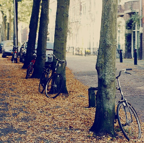 [Parking bikes[4].jpg]