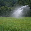 Nauth_Löschteich_ 019.jpg