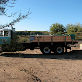 Sheathing delivery 1/29