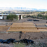 E view - all joists done! 1/24