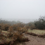 Foggy morning 1/24