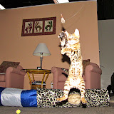 Macho and mousie