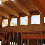 Cactus in clerestory 5/25