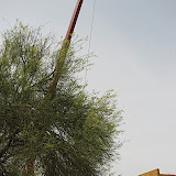 Extended crane arm 5/1