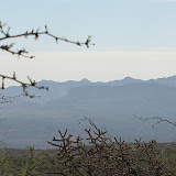 Galiuro mt view from AZ Trail 4/16