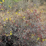 Unidentified on top of hill 5/8