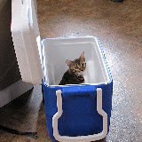 Niña in the cooler 6/11