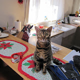 Baaad Niña on the placemat 12/8/10