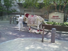 Photo0672