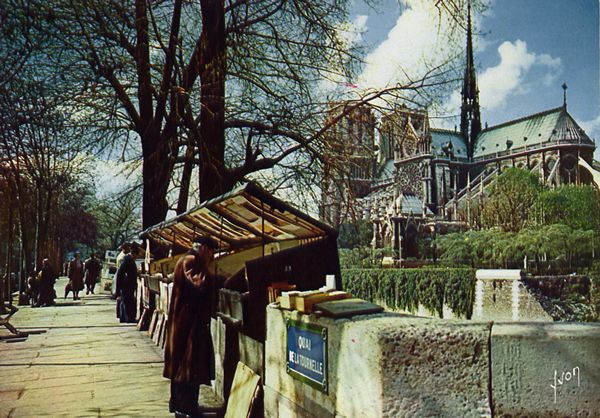 Cartes Postales Pop et  Kitsch des années 50, 70 et 70 - Pop and kitsch vintage postcards from the fifties, the sixties and the seventies : Quais et peintres de Paris