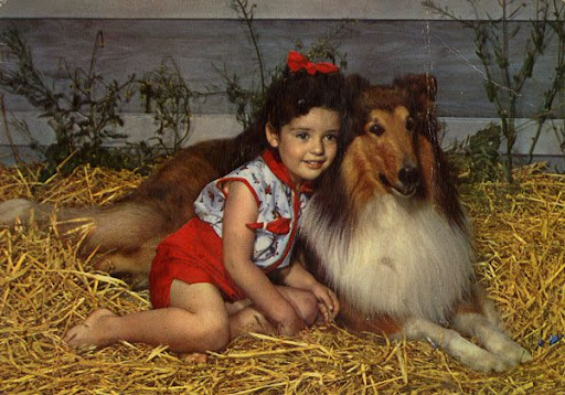Cartes Postales Pop et  Kitsch des années 50, 70 et 70 Childrens and animals / Enfants et animaux