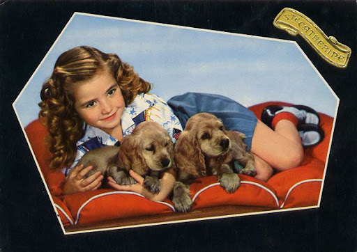 Cartes Postales Pop et  Kitsch des années 50, 70 et 70 Childrens and animals / Enfants et animaux