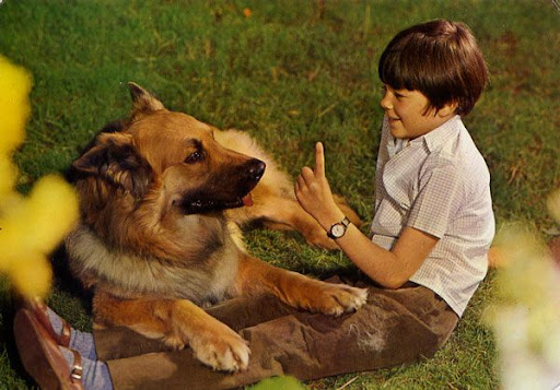 Cartes Postales Pop et  Kitsch des années 50, 70 et 70 Childrens and animals / Enfants et animaux