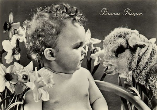 Cartes Postales Pop et  Kitsch des années 50, 70 et 70 Childrens and animals / Enfants et animaux