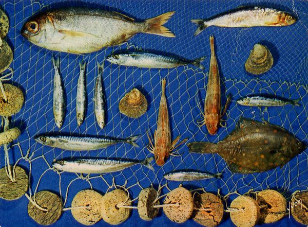 Cartes Postales Pop et  Kitsch des années 50, 70 et 70 coquillages et crustacés / seafood platters