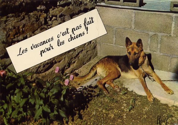 Cartes Postales Pop et  Kitsch des années 50, 70 et 70 Avec un peu d'aide de nos amis - Pop and kitsch vintage postcards from the fifties, the sixties and the seventies With a litte help from our friends