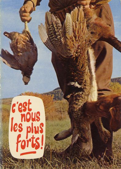 Cartes Postales Pop et  Kitsch des années 50, 70 et 70 - Pop and kitsch vintage postcards from the fifties, the sixties and the seventies : Rions avec les animaux
