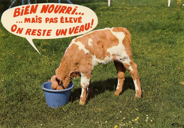Cartes Postales Pop et  Kitsch des années 50, 70 et 70 - Pop and kitsch vintage postcards from the fifties, the sixties and the seventies : Rions avec les animaux