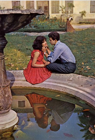 Cartes Postales Pop et  Kitsch des années 50, 70 et 70 - Pop and kitsch vintage postcards from the fifties, the sixties and the seventies : L'amour est dans le pré