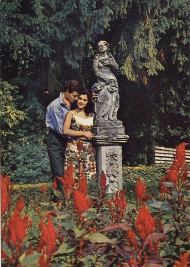 Cartes Postales Pop et  Kitsch des années 50, 70 et 70 - Pop and kitsch vintage postcards from the fifties, the sixties and the seventies : L'amour est dans le pré