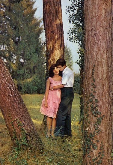 Cartes Postales Pop et  Kitsch des années 50, 70 et 70 - Pop and kitsch vintage postcards from the fifties, the sixties and the seventies : L'amour est dans le pré