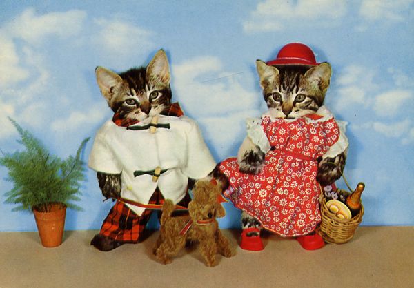 Cartes Postales Pop et Kitsch des années 50, 70 et 70 - Pop and kitsch vintage postcards from the fifties, the sixties and the seventies : Une vie de chien